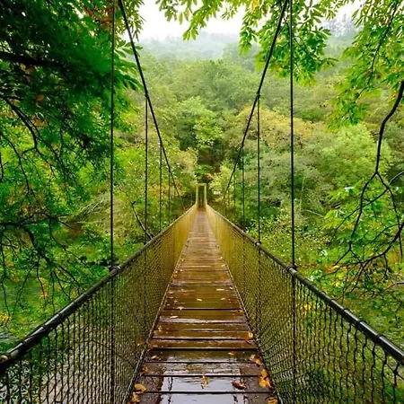 White & Wood Апартаменты Миньо