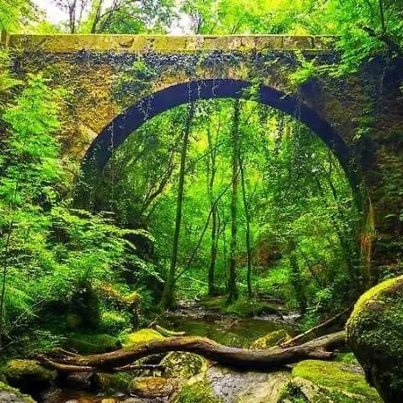 Апартаменты White & Wood *